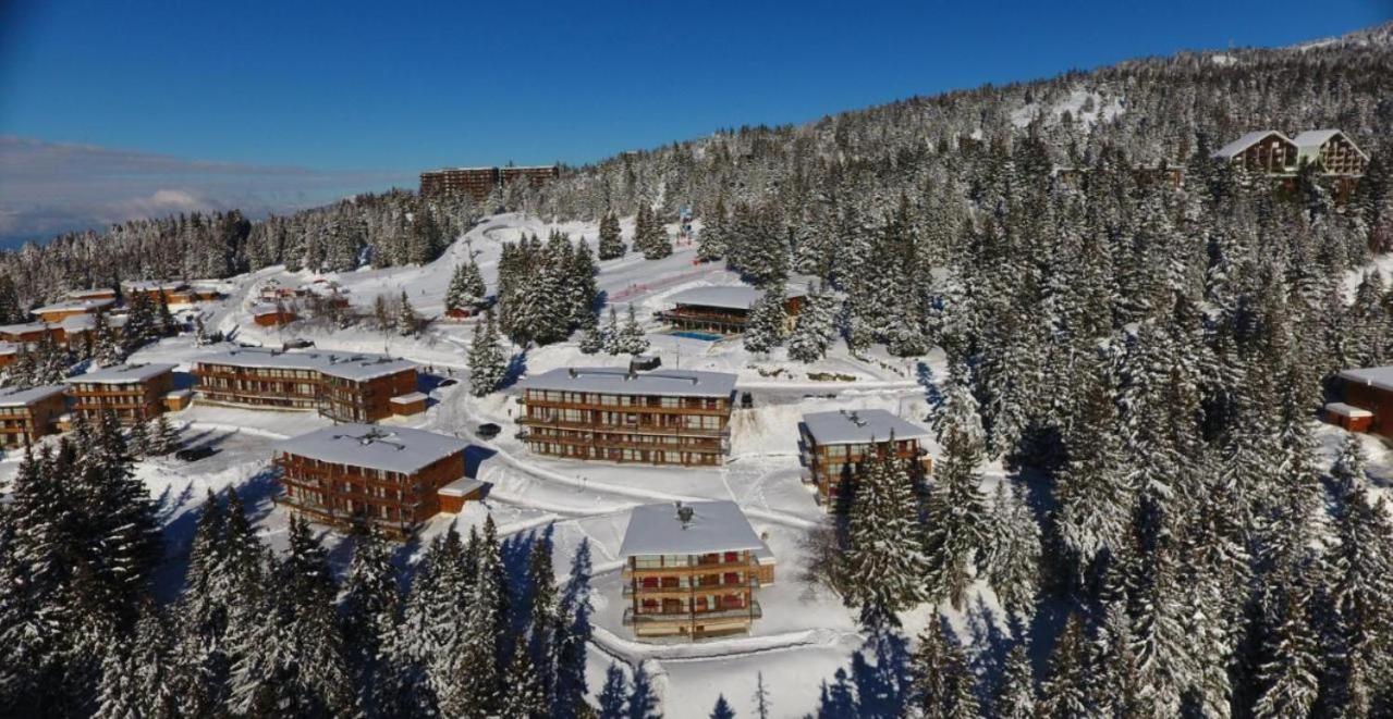 Le Cocon 4 Saisons A Chamrousse 1700 - Droseras A14 - Les Villages Du Bachat Eksteriør bilde